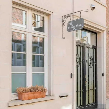 Loft Heerenhuys 아파트 에클로